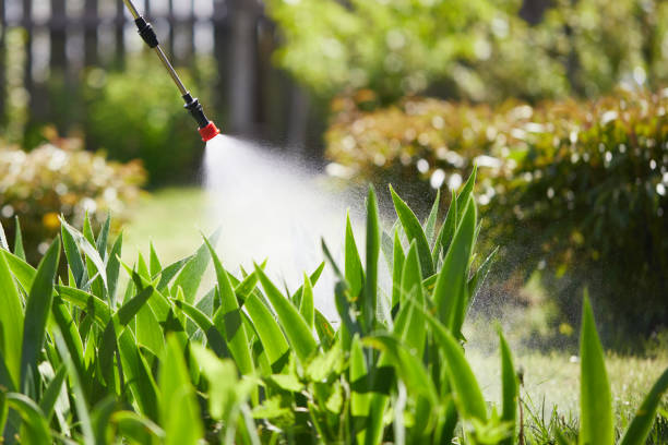 24/7 Emergency Ant Control experts in St. Paris, OH