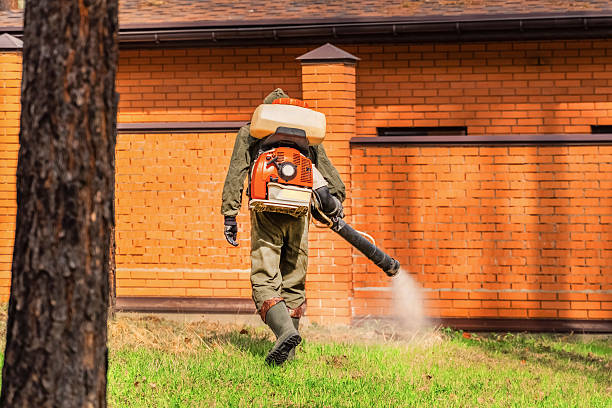 Top rated local Ant Control specialists in St. Paris, OH